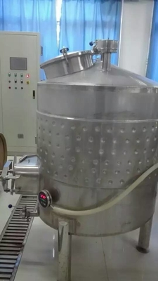100Lビール生産ライン ワインの試験装置のSU 304 1年の保証